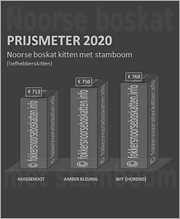 Prijsmeter Noorse boskat kittens